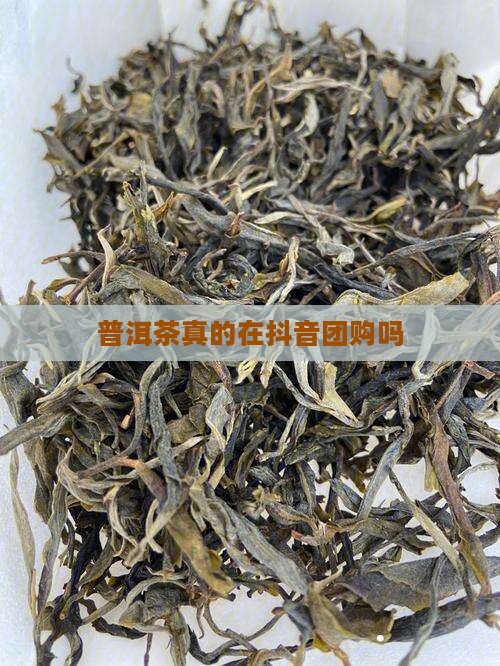 玫瑰普洱茶抖音团购是真的吗