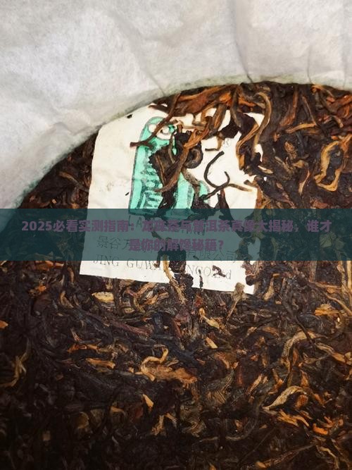 龙珠和普洱茶哪个好喝