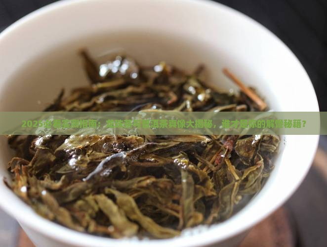 龙珠和普洱茶哪个好喝