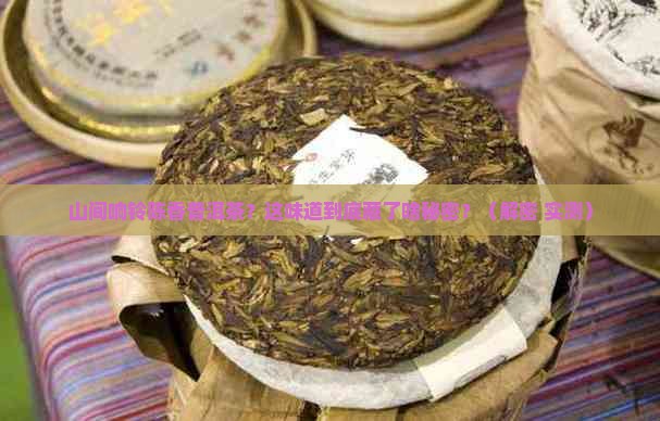 山间响铃陈香普洱茶