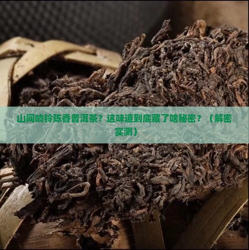 山间响铃陈香普洱茶