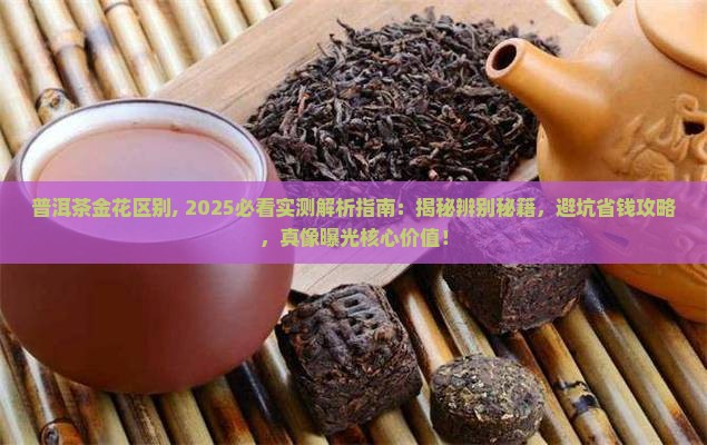 普洱茶金花区别