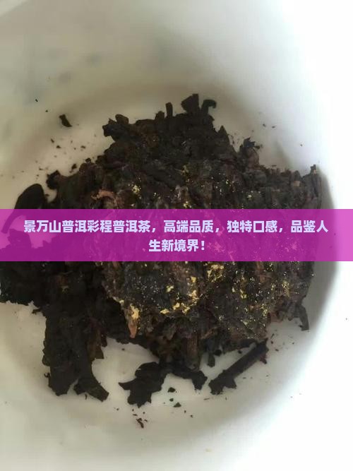 景万山普洱彩程普洱茶