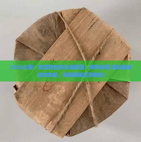 普洱茶生茶沧海桑田