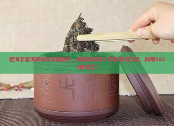 老同志普洱茶绿色方圆系列