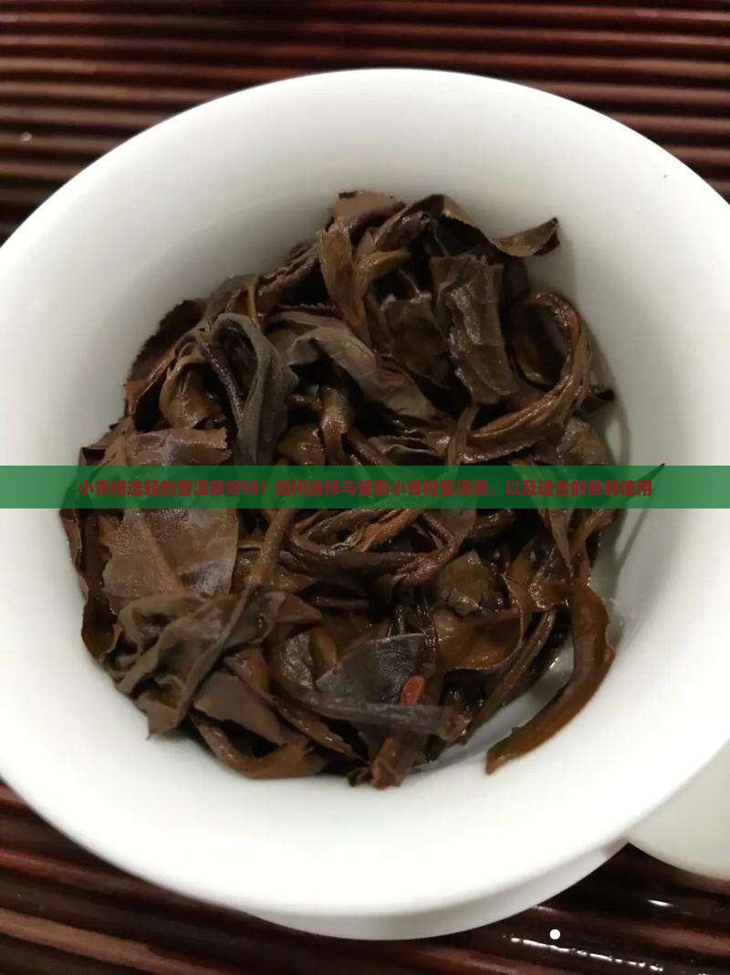 小青柑选轻的普洱茶