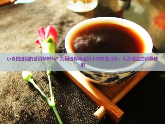 小青柑选轻的普洱茶