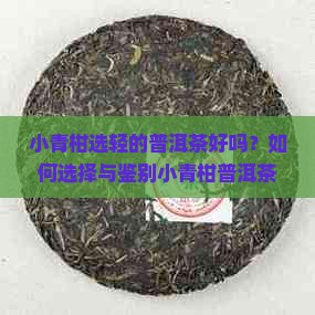 小青柑选轻的普洱茶