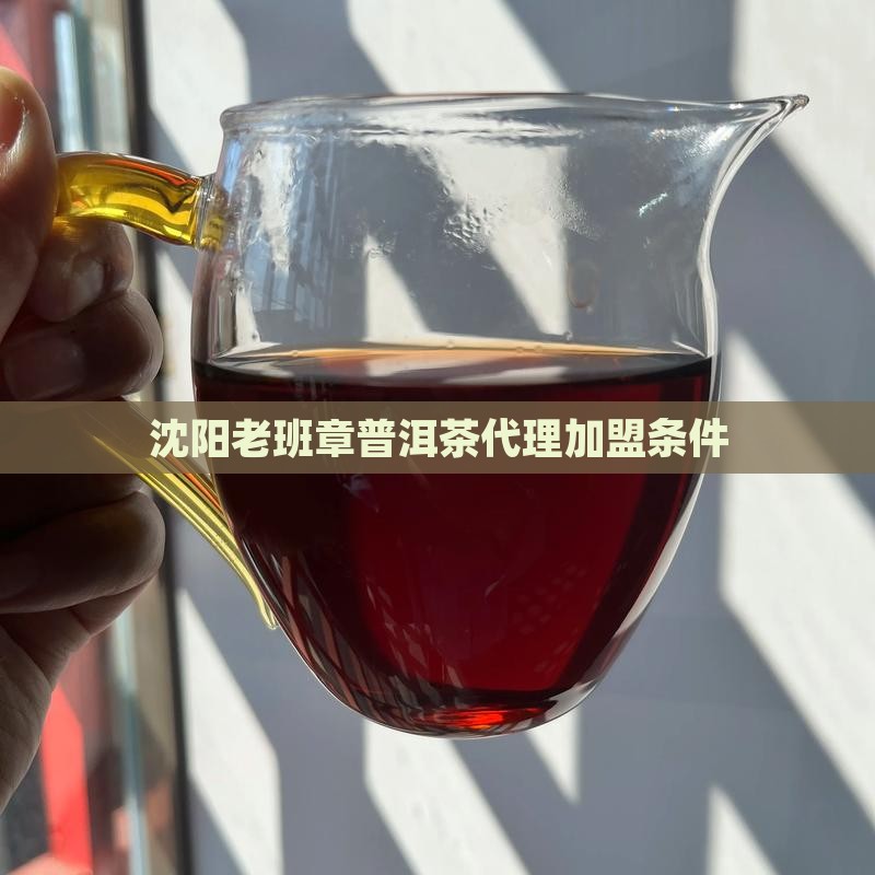 沈阳老班章渠道代理条件