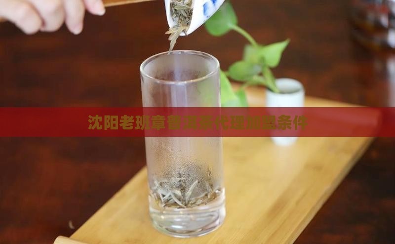 沈阳老班章渠道代理条件