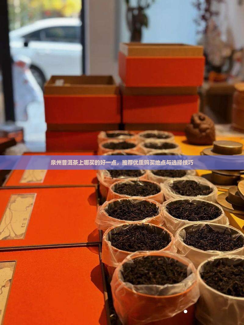 泉州普洱茶上哪买的好一点