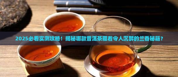 普洱茶哪款有兰香的味道 普洱茶哪款有兰香的味道