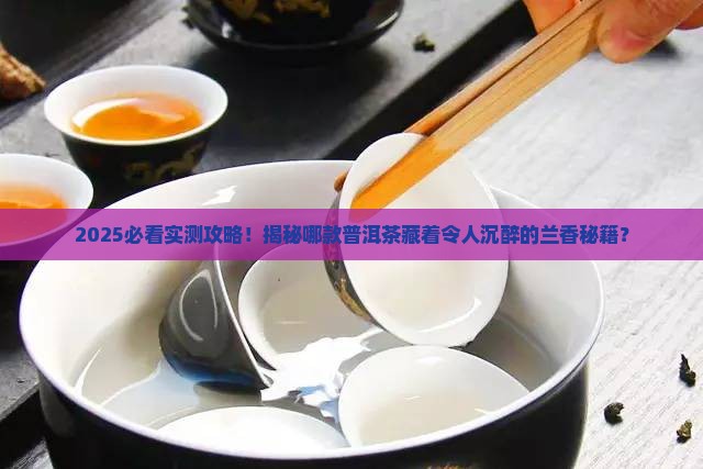 普洱茶哪款有兰香的味道 普洱茶哪款有兰香的味道