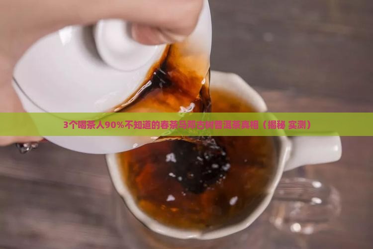 春茶马邓古树普洱茶
