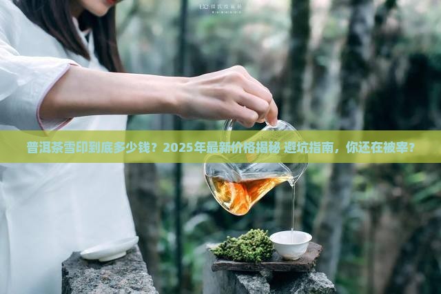 普洱茶雪印多少钱