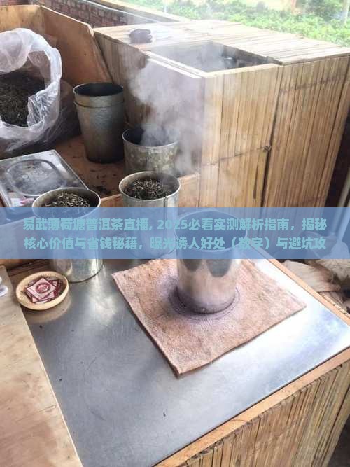 易武薄荷塘普洱茶直播