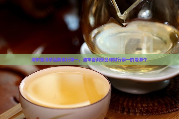 浦东普洱茶品牌排行第一