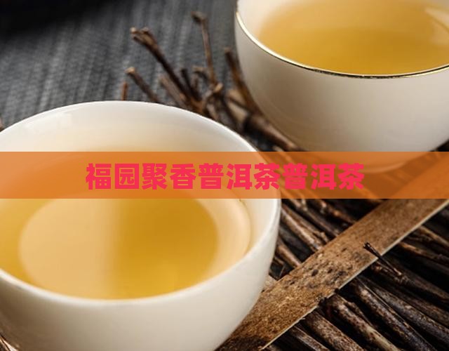 福园聚香普洱茶
