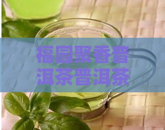 福园聚香普洱茶
