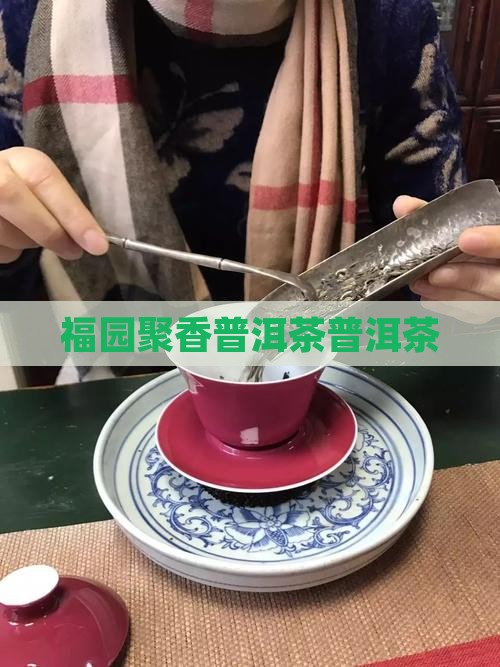 福园聚香普洱茶