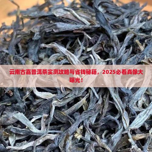云南古嘉普洱茶