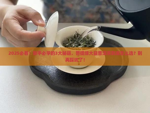 菩提缘大益普洱茶