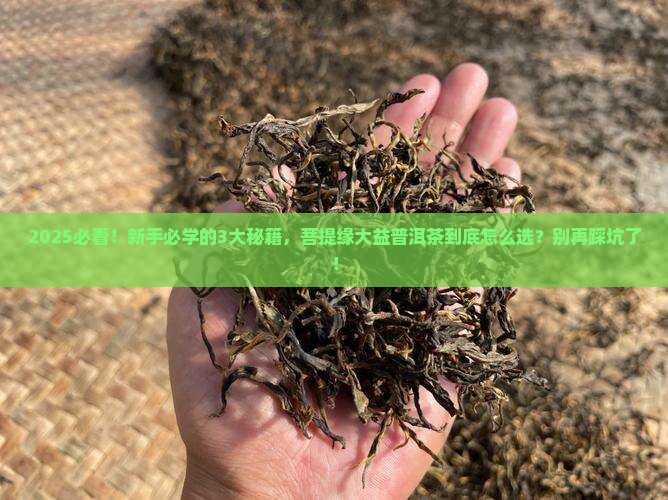 菩提缘大益普洱茶