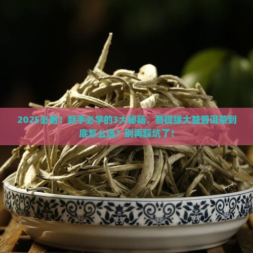 菩提缘大益普洱茶