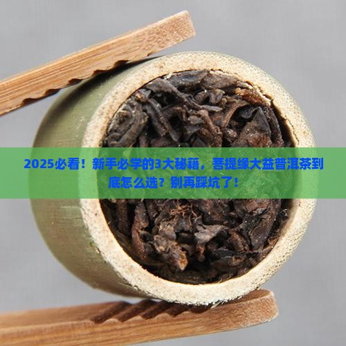 菩提缘大益普洱茶