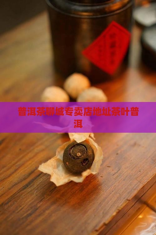 山东聊城普洱茶专卖店地址