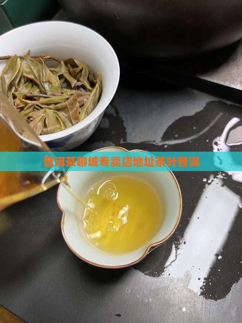 山东聊城普洱茶专卖店地址