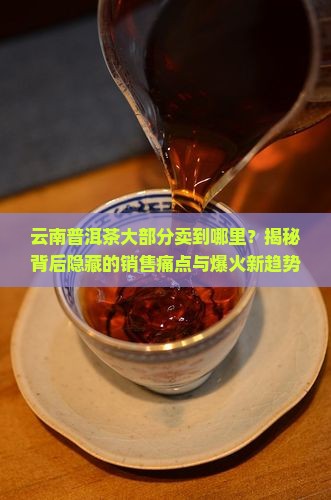 云南普洱茶大部分卖到哪里