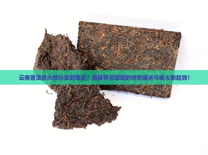 云南普洱茶大部分卖到哪里