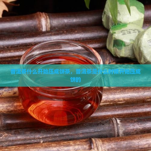 普洱茶什么开始压成饼茶