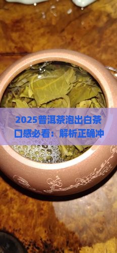 普洱茶怎么泡才可以变白