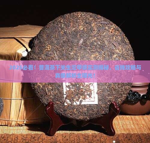 普洱茶下关生沱甲级