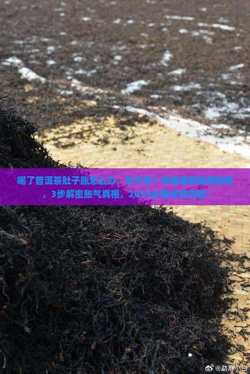 喝了普洱茶肚子胀怎么办