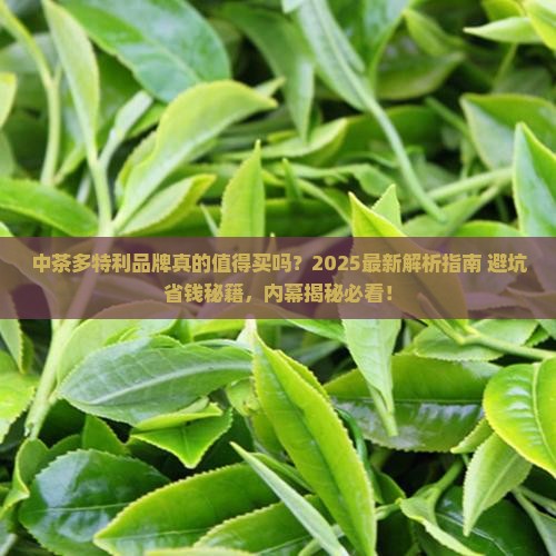 中茶多特利品牌怎样