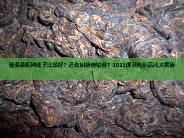 普洱茶哪种牌子比较好