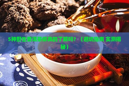 野生普洱茶有哪几种茶叶