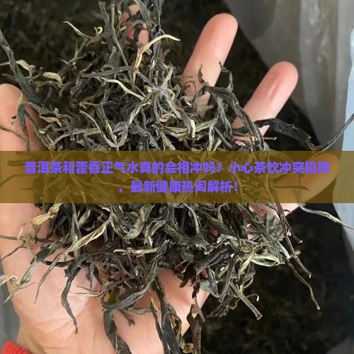 普洱茶和藿香正气水相冲
