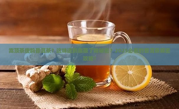 嵩顶茶唐韵普洱茶