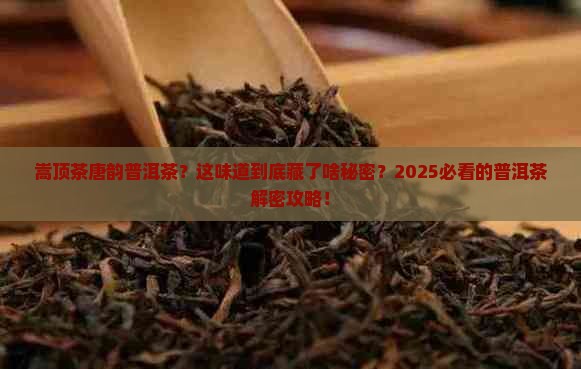 嵩顶茶唐韵普洱茶