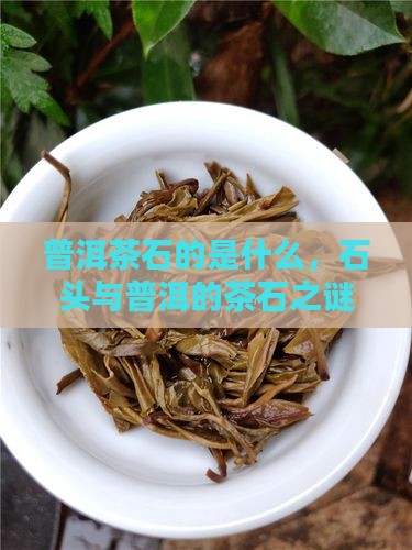 普洱茶石的是什么