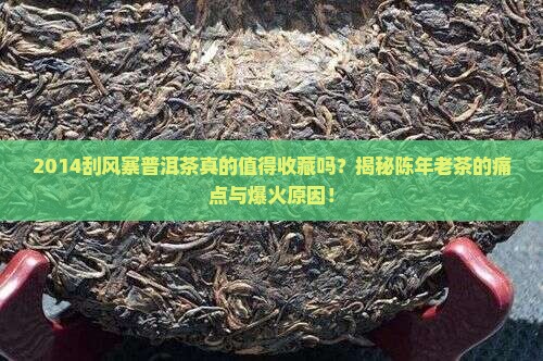 2014刮风寨普洱茶