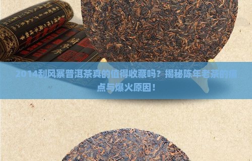 2014刮风寨普洱茶