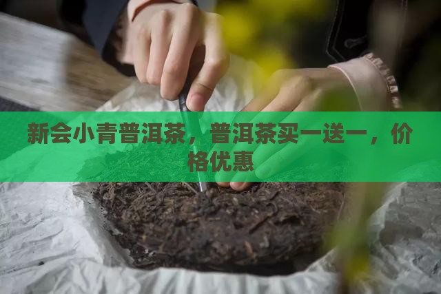 小柑普洱茶买一送一