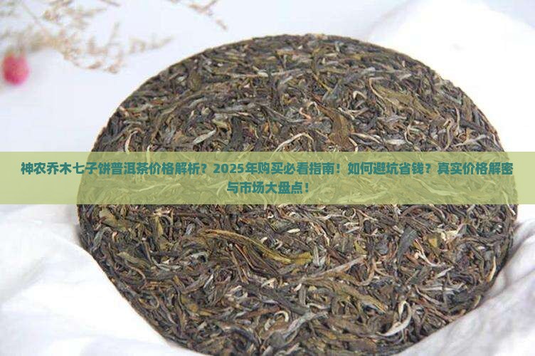 神农乔木七子饼普洱茶价格