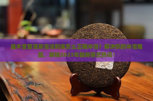 益木堂普洱茶泡法