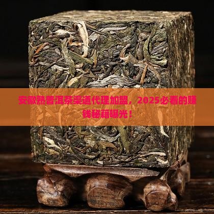 安徽熟普洱茶渠道代理加盟